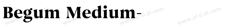 Begum Medium字体转换